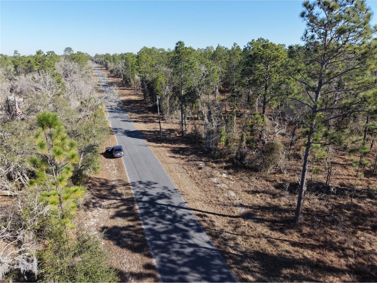 SE 126th Terrace Dunnellon FL 34431 A4690272 image1