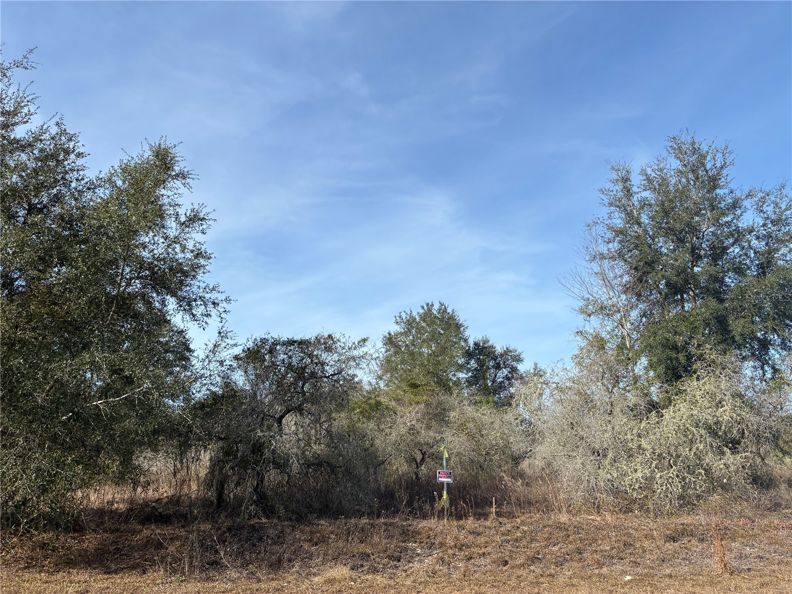 SE 126th Terrace Dunnellon FL 34431 OM716370 image1