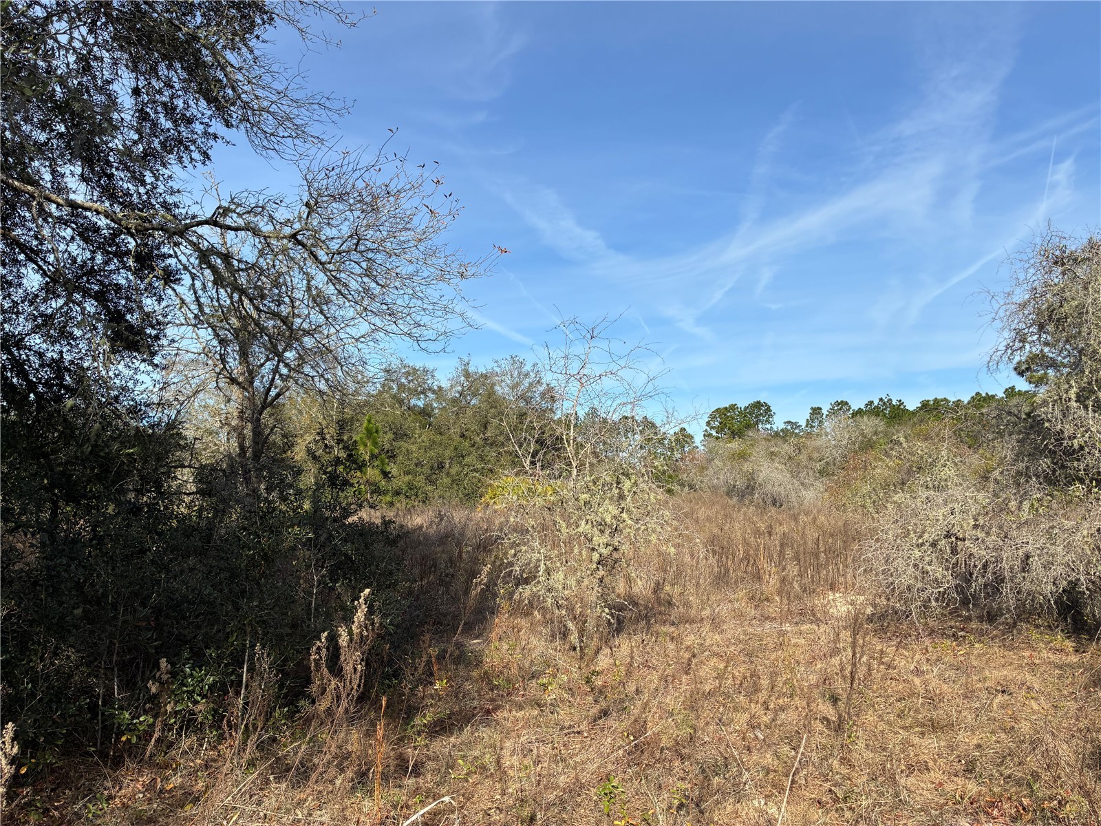 SE 126th Terrace Dunnellon FL 34431 OM716370 image10