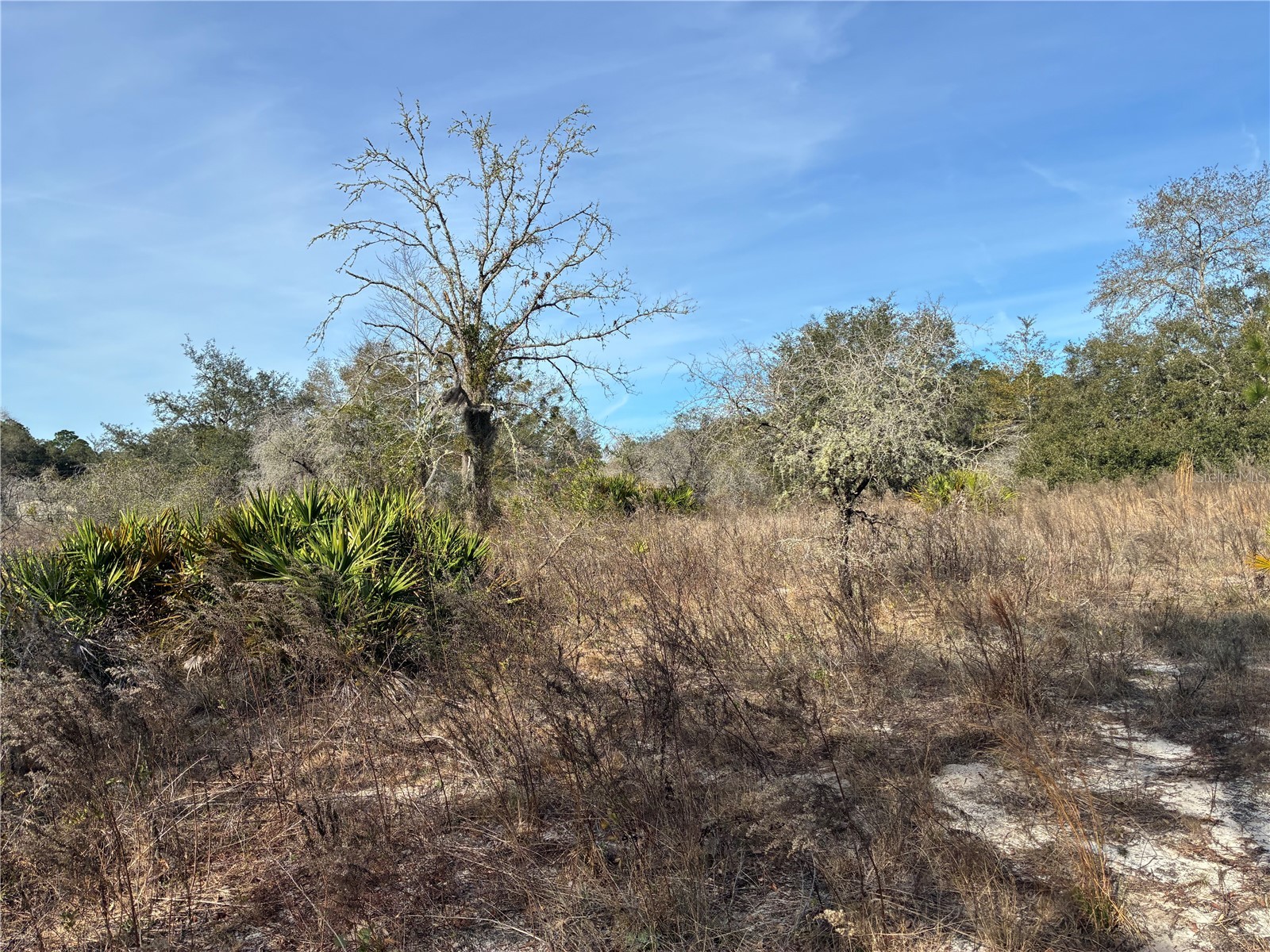 SE 126th Terrace Dunnellon FL 34431 OM716370 image11