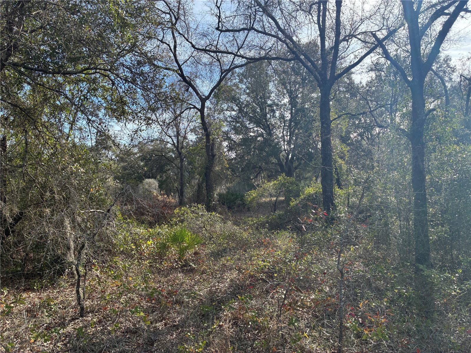 SE 126th Terrace Dunnellon FL 34431 OM716370 image12
