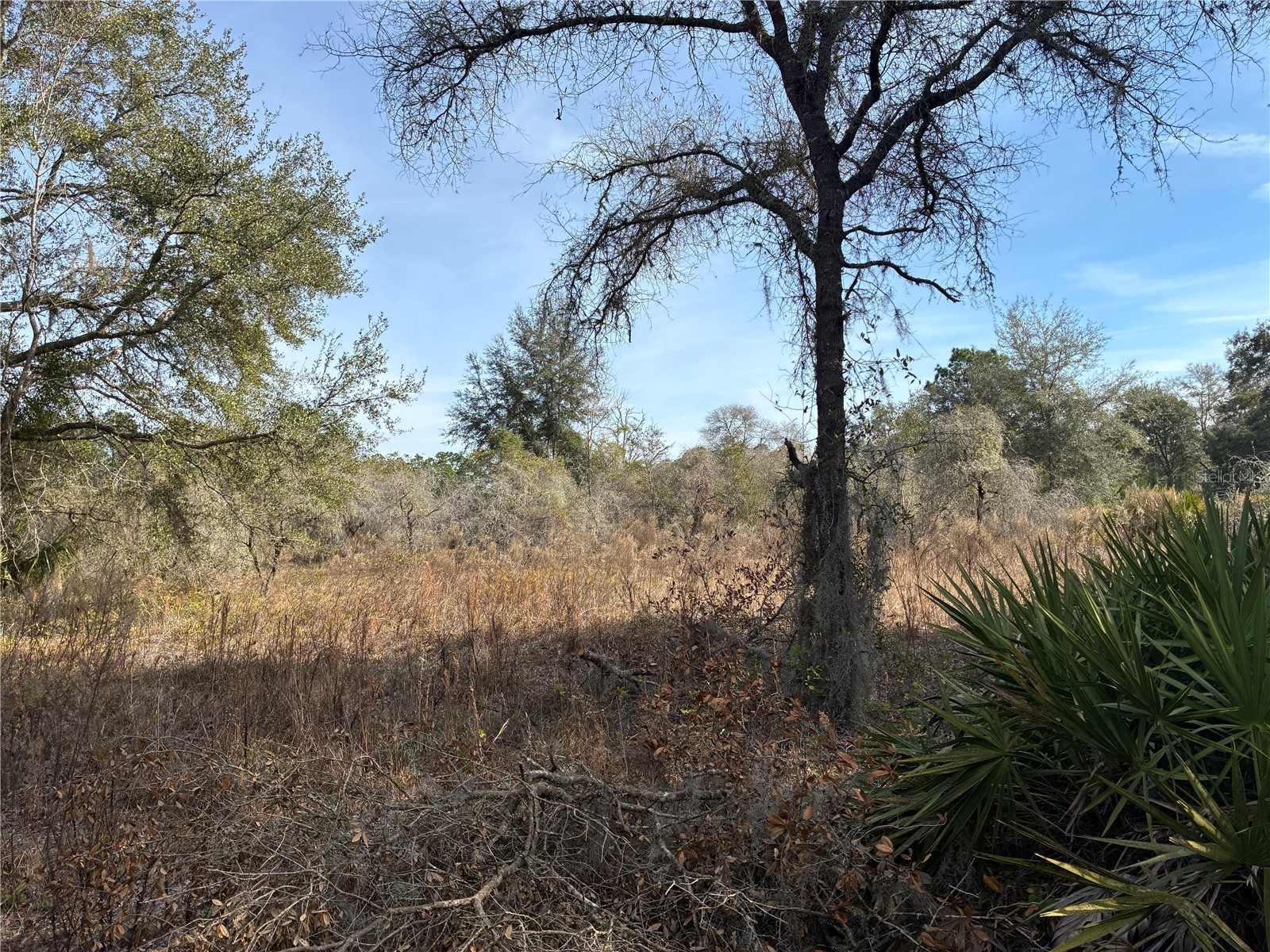 SE 126th Terrace Dunnellon FL 34431 OM716370 image13
