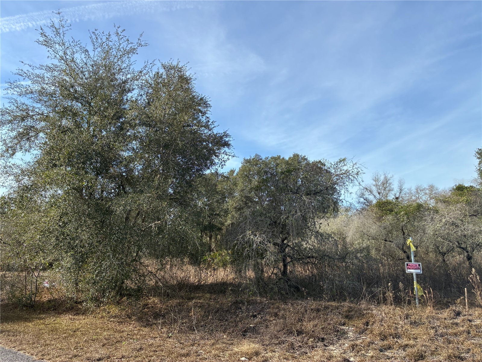 SE 126th Terrace Dunnellon FL 34431 OM716370 image2