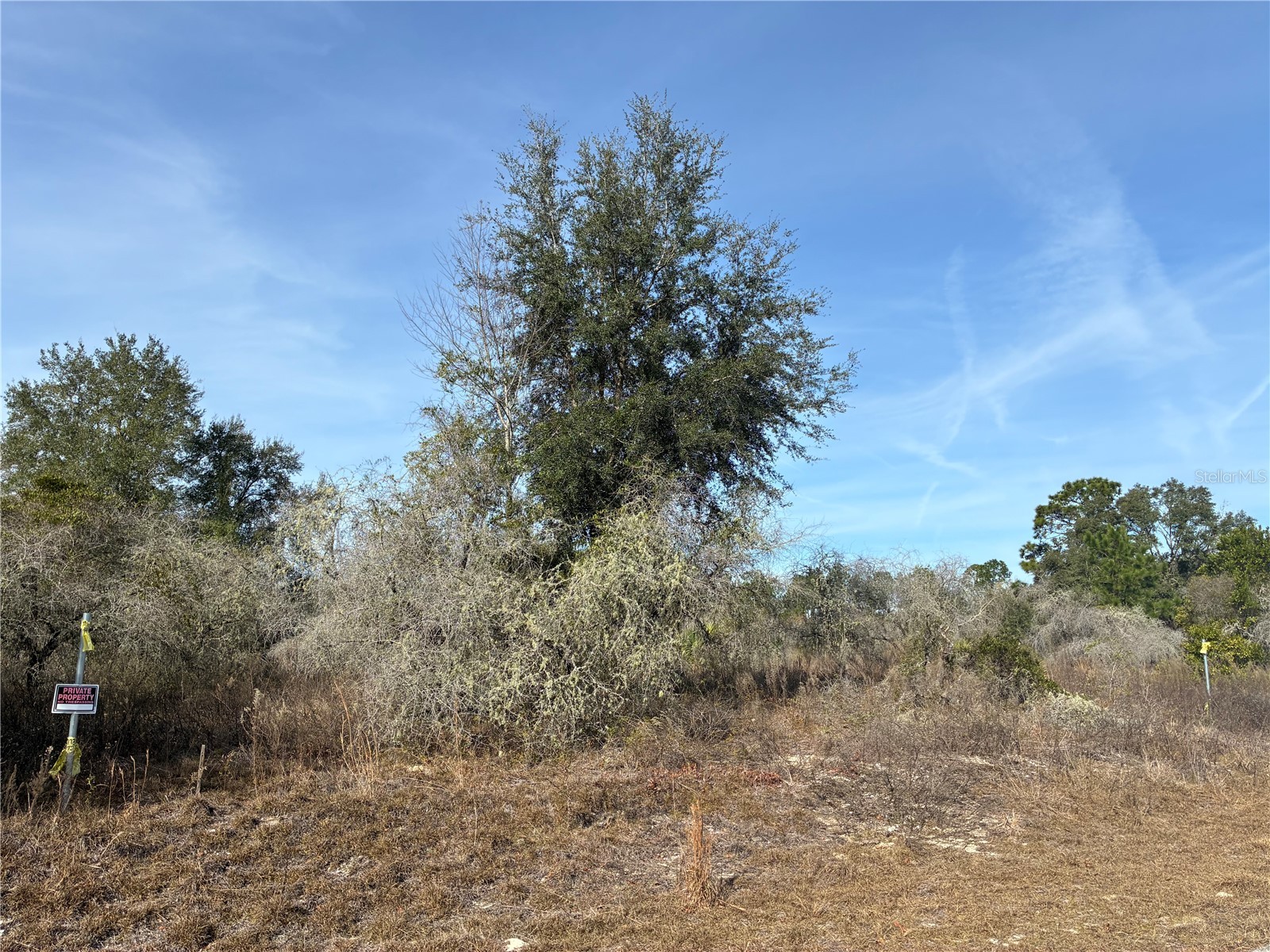 SE 126th Terrace Dunnellon FL 34431 OM716370 image3