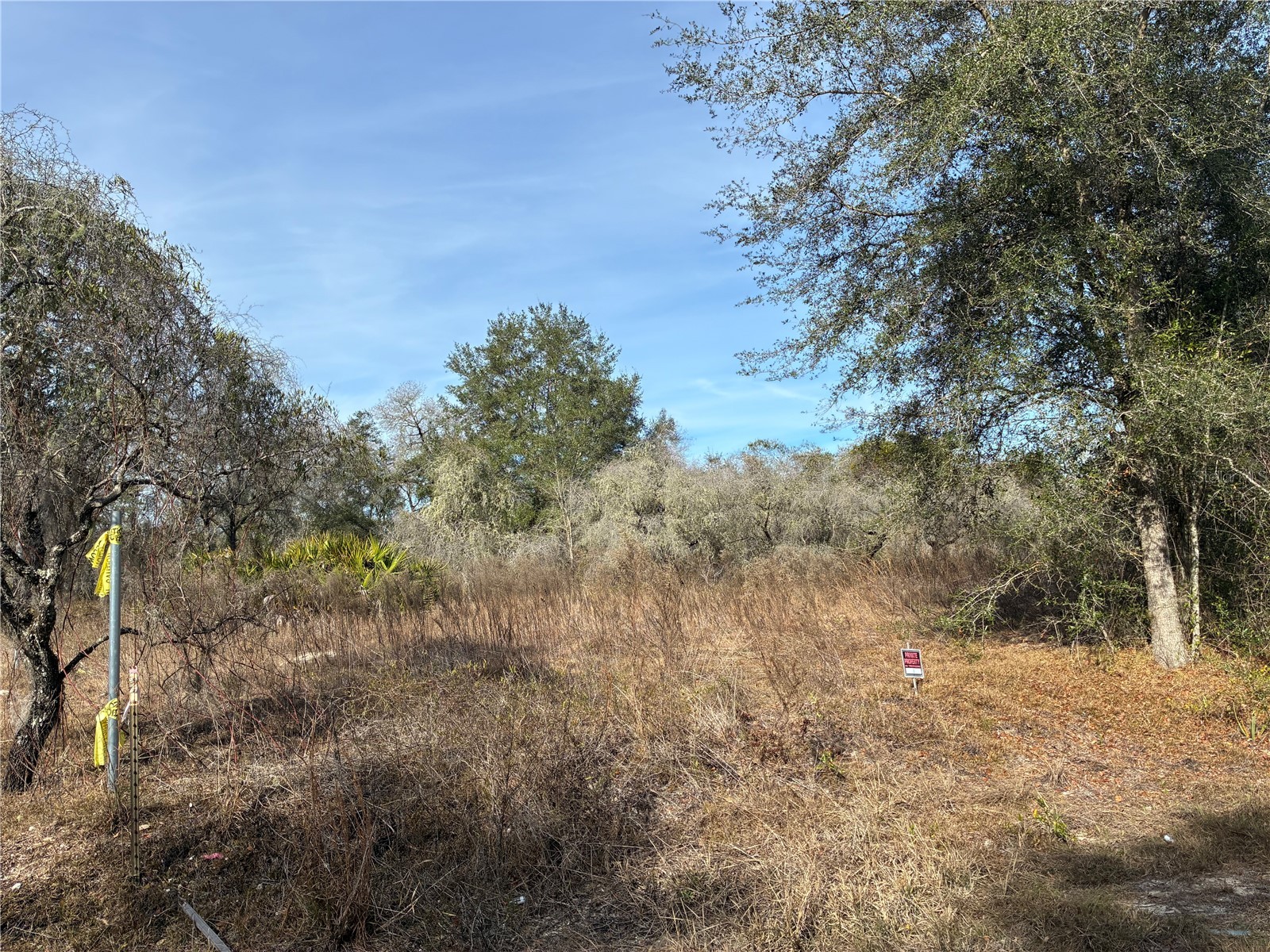 SE 126th Terrace Dunnellon FL 34431 OM716370 image7
