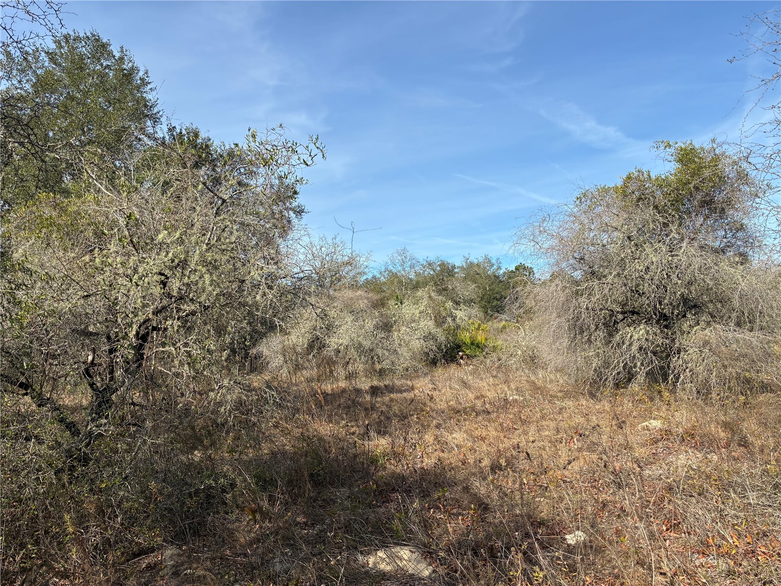 SE 126th Terrace Dunnellon FL 34431 OM716370 image8