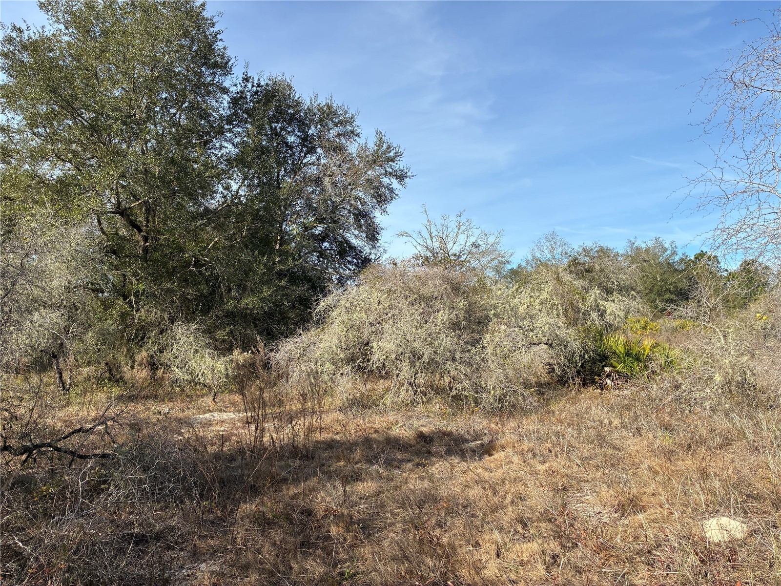 SE 126th Terrace Dunnellon FL 34431 OM716370 image9