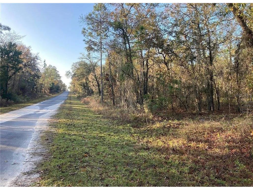 SE 126th Terrace Dunnellon FL 34431 TB8318511 image1