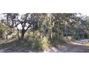 SE 127th Place Belleview FL 34420 O6223093 image1