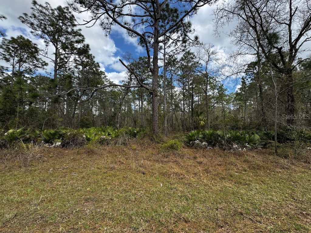 SE 128th Avenue Dunnellon FL 34431 TB8360145 image1