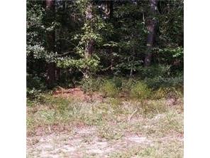 SE 128th Street Belleview FL 34420 O6212676 image1