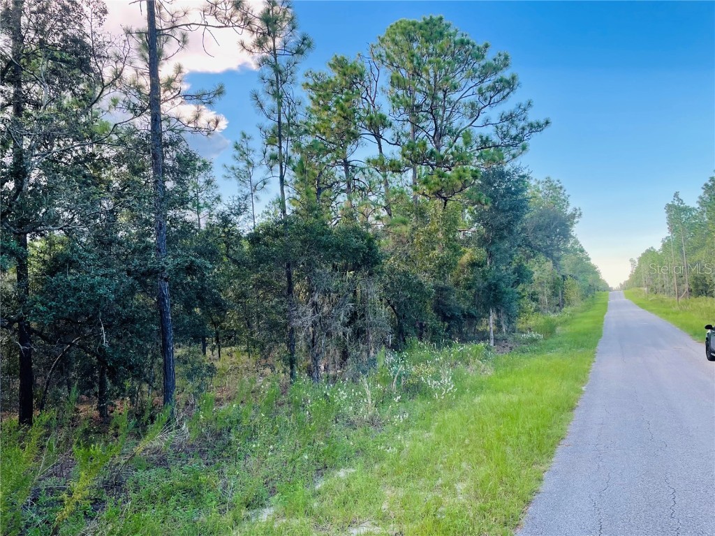 SE 129 Court Dunnellon FL 34431 A4621806 image1