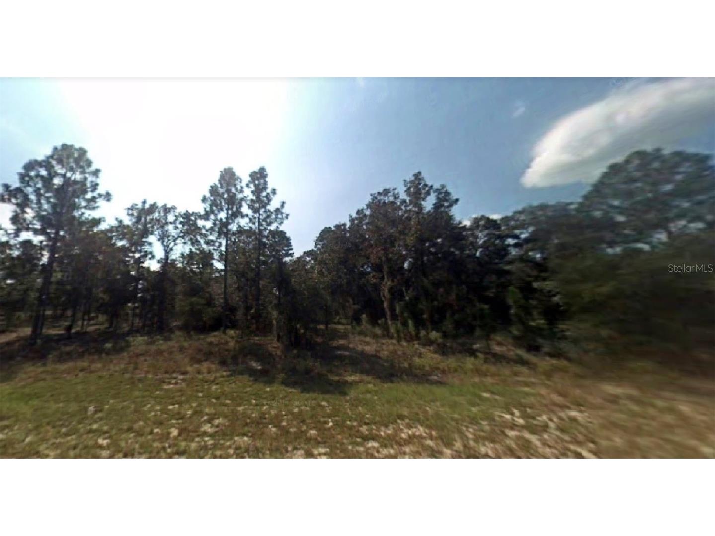 SE 129th Court Dunnellon FL 34431 O6108390 image1