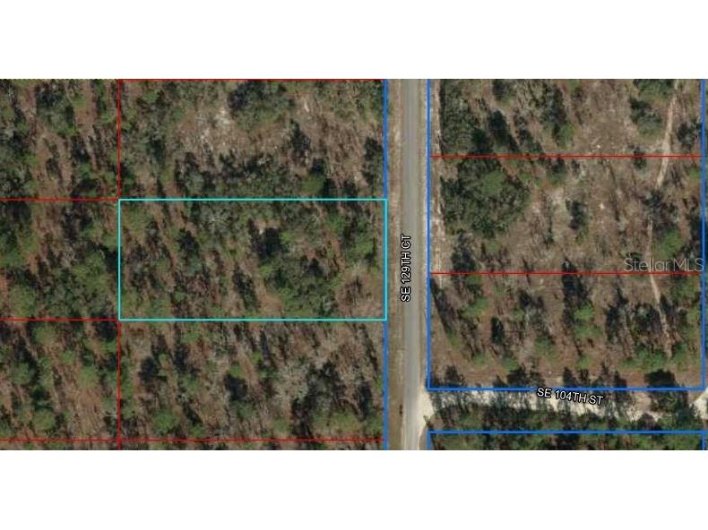 SE 129th Court Dunnellon FL 34431 OM683505 image1