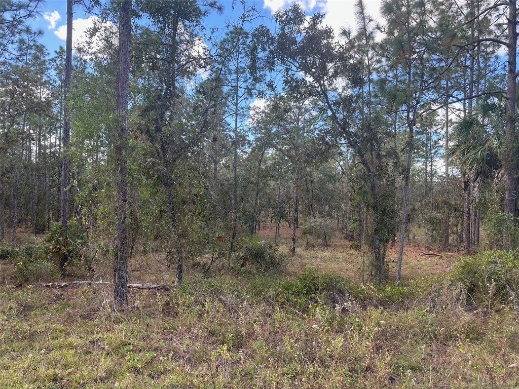 SE 129th Court Dunnellon FL 34431 OM688923 image1