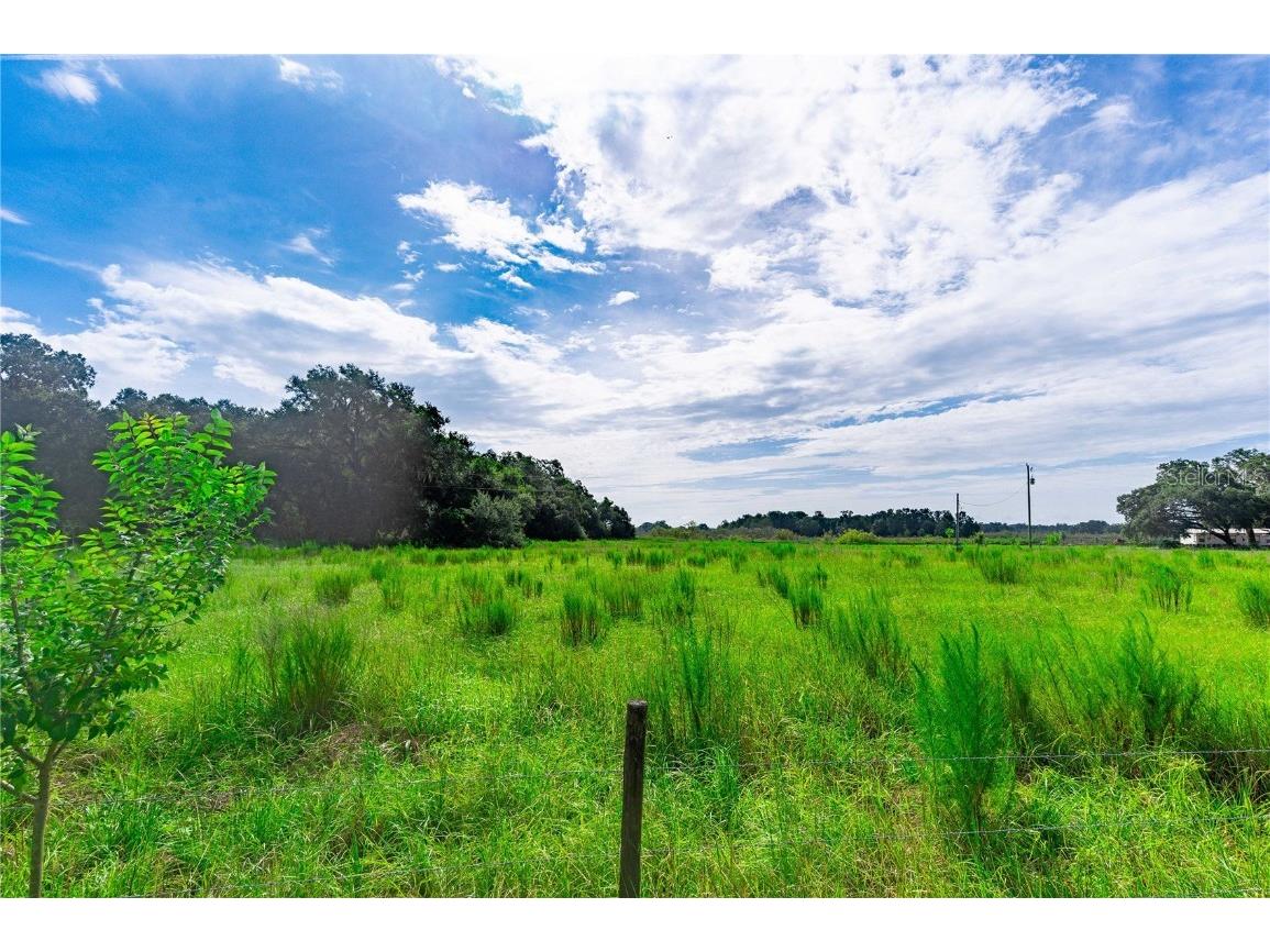 Se 12th Drive Webster FL 33597 G5071510 image1