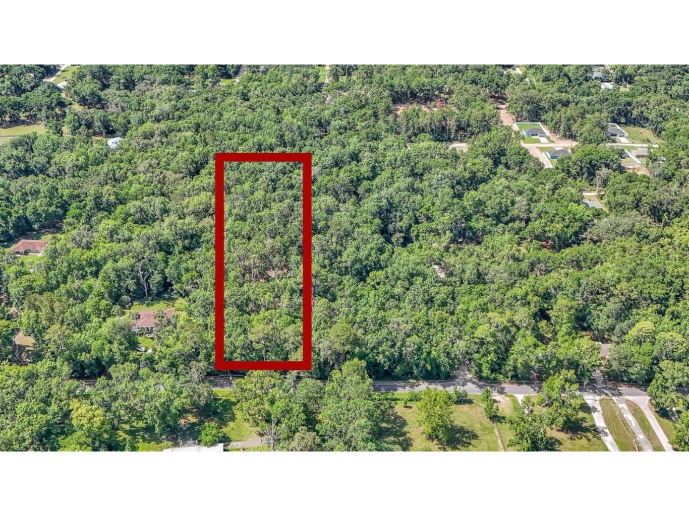 SE 130th Street Belleview FL 34420 OM701739 image1