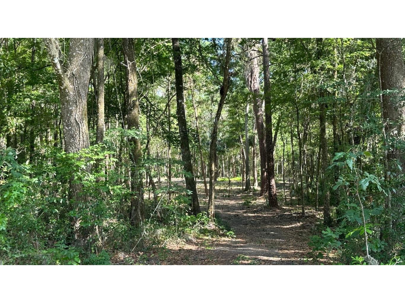 SE 130th Street Belleview FL 34420 OM701739 image4