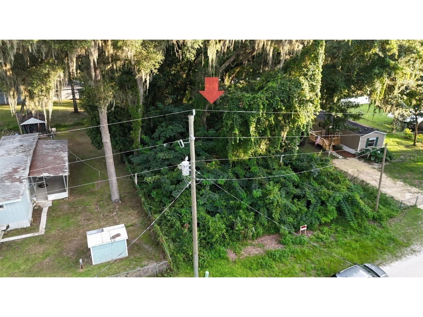 SE 131 Place Belleview FL 34421 O6223344 image1