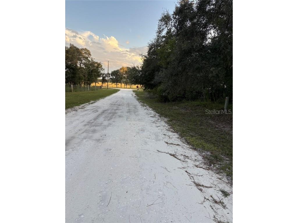 SE 131 St Avenue Morriston FL 32668 GC533779 image1