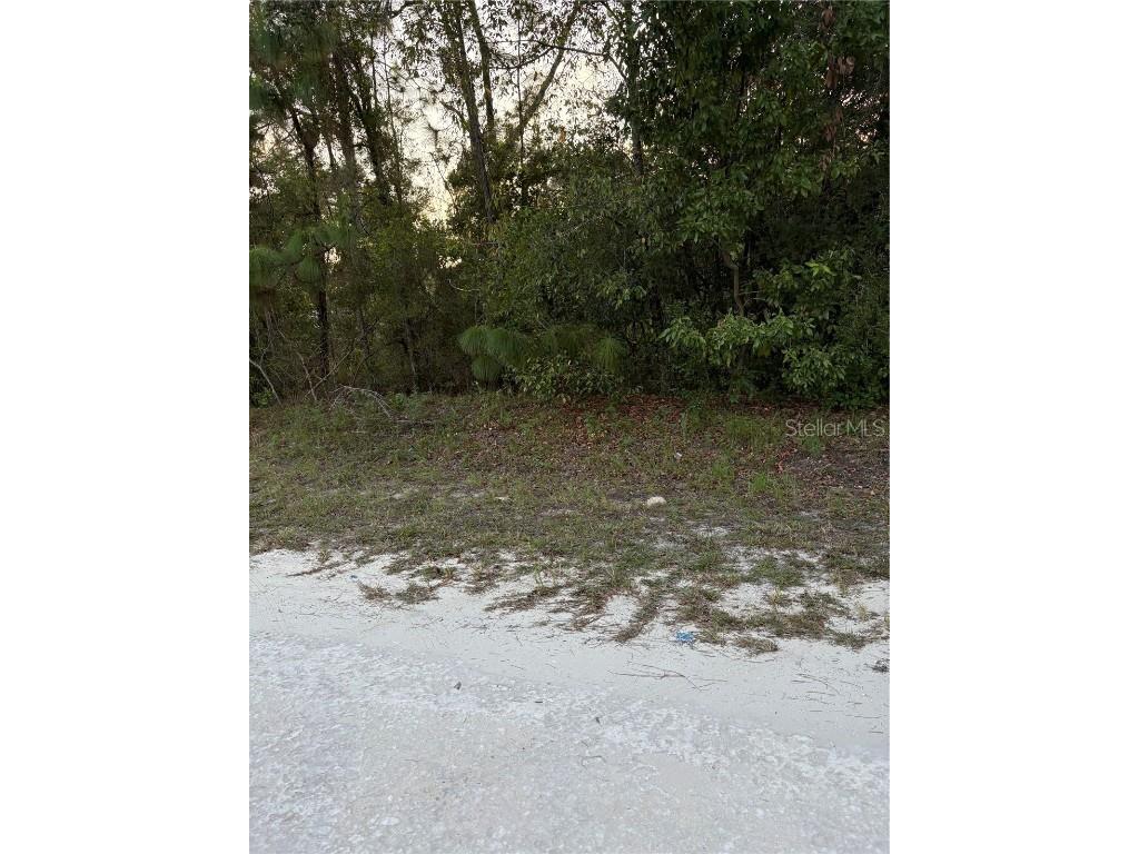 SE 131 St Avenue Morriston FL 32668 GC533779 image2
