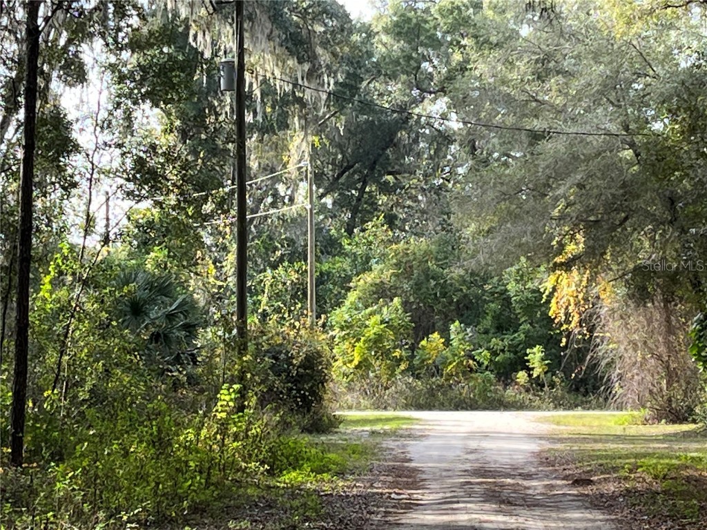 SE 131st Lane Belleview FL 34420 OK223543 image1