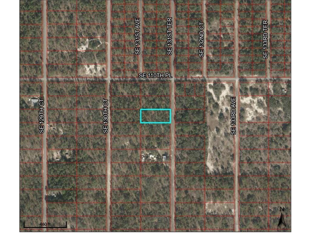 SE 131st Terrace Dunnellon FL 34432 V4930801 image1