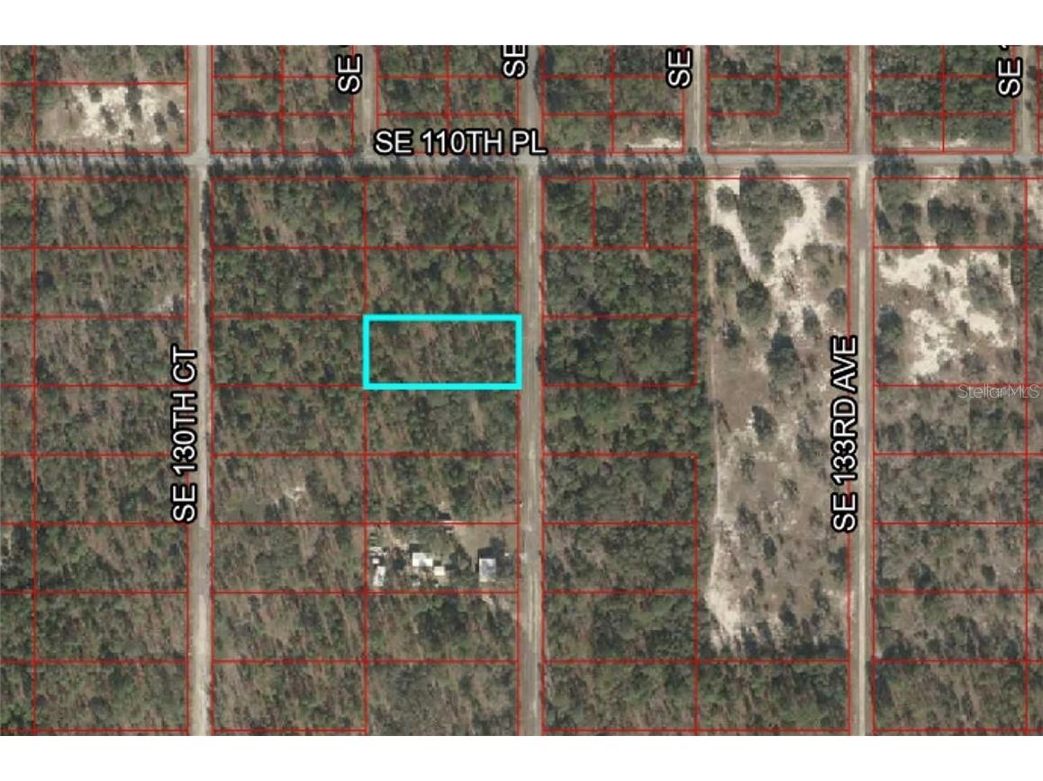 SE 134st Terrace Dunnellon FL 34432 V4934619 image1