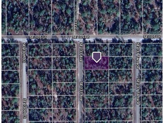 SE 131th Avenue Dunnellon FL 34431 OM677319 image1
