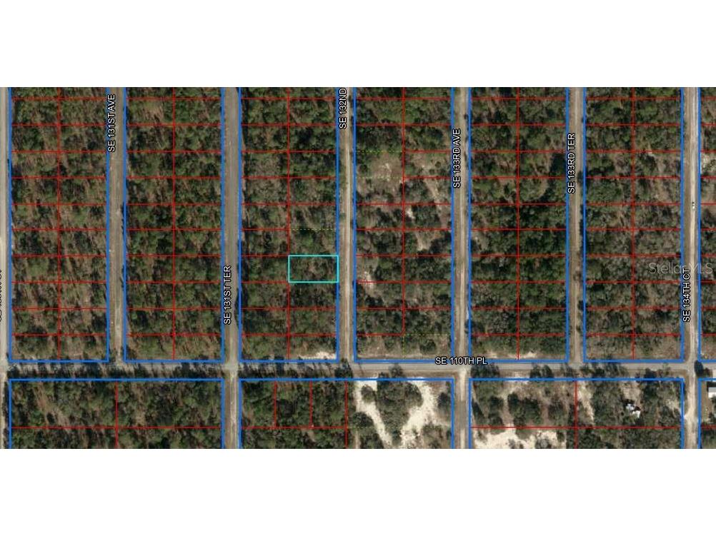 Se 132nd Ct Dunnellon FL 34431 C7487052 image1