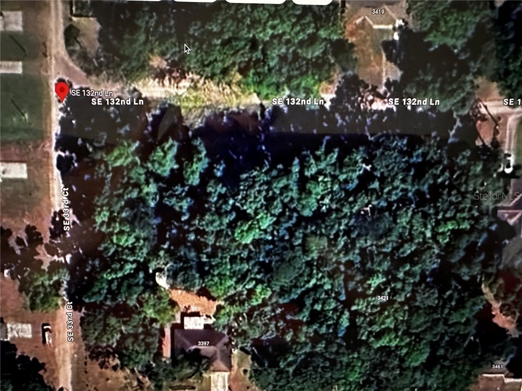 SE 132nd Lane Belleview FL 34420 OM675448 image1