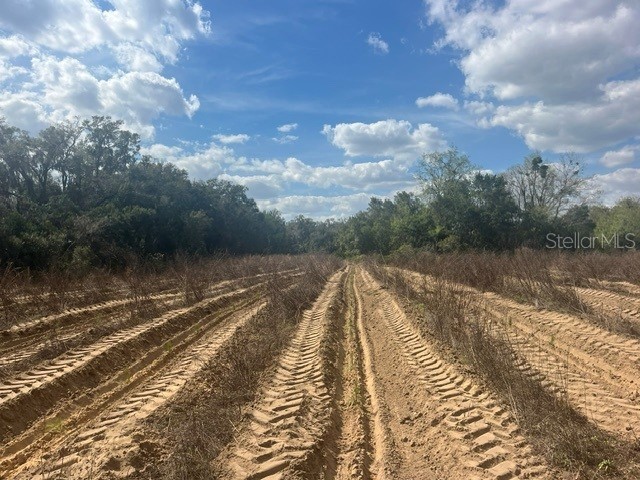 SE 132nd Street Summerfield FL 34491 O6416379 image3
