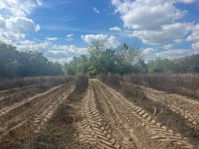 SE 132nd Street Summerfield FL 34491 O6416379 image4