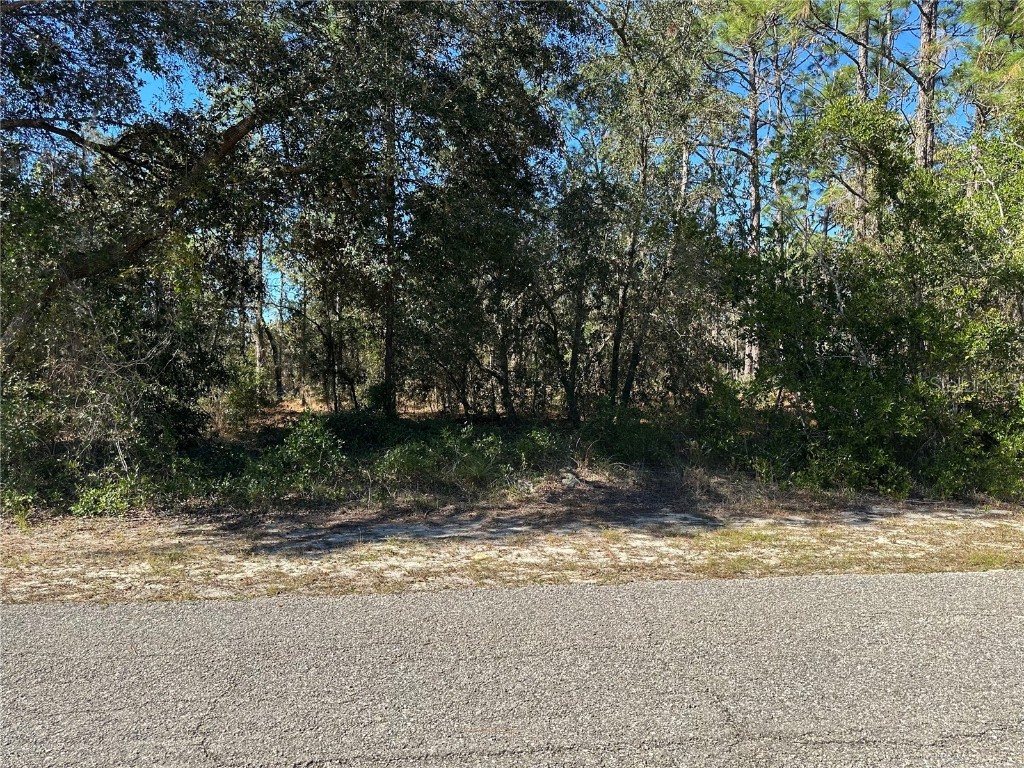Se 133rd Ave Avenue Dunnellon FL 34431 OM689986 image1