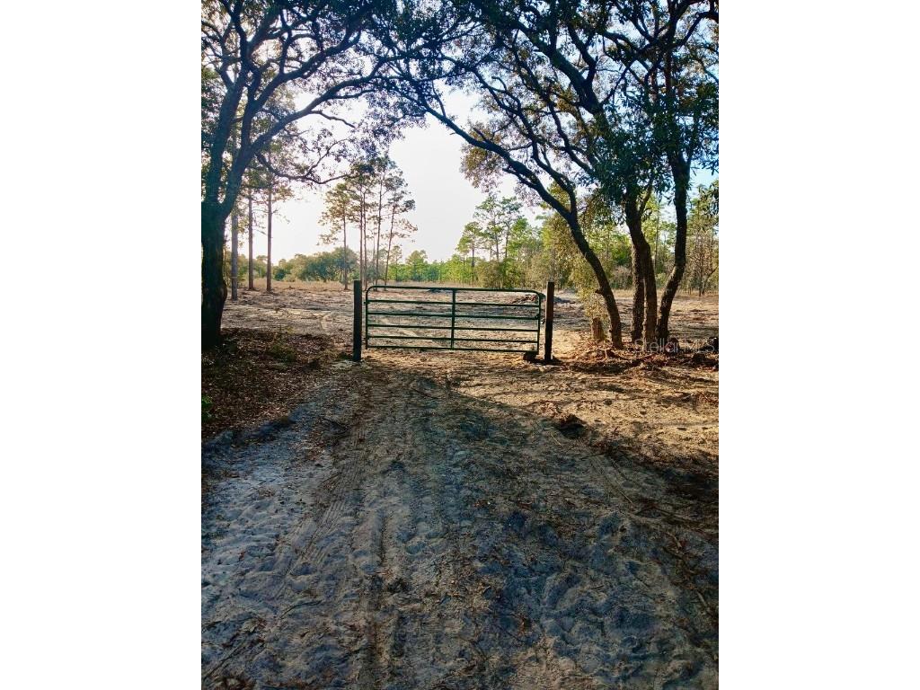 SE 133rd Avenue Dunnellon FL 34431 OM694503 image1