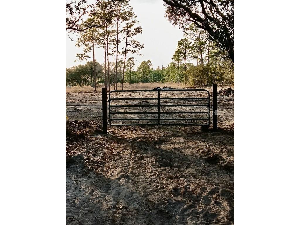 SE 133rd Avenue Dunnellon FL 34431 OM694503 image10