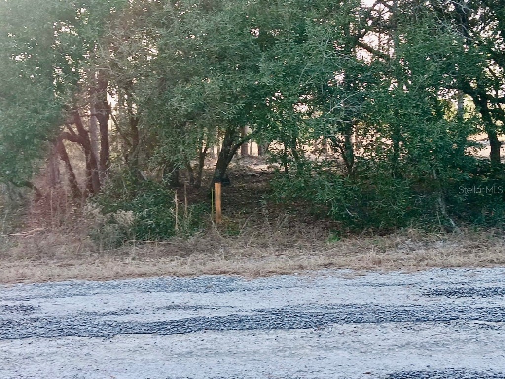 SE 133rd Avenue Dunnellon FL 34431 OM694503 image11