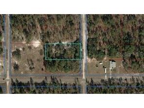 SE 133rd Avenue Dunnellon FL 34431 OM694503 image12