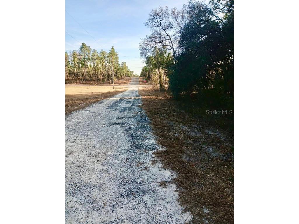 SE 133rd Avenue Dunnellon FL 34431 OM694503 image2