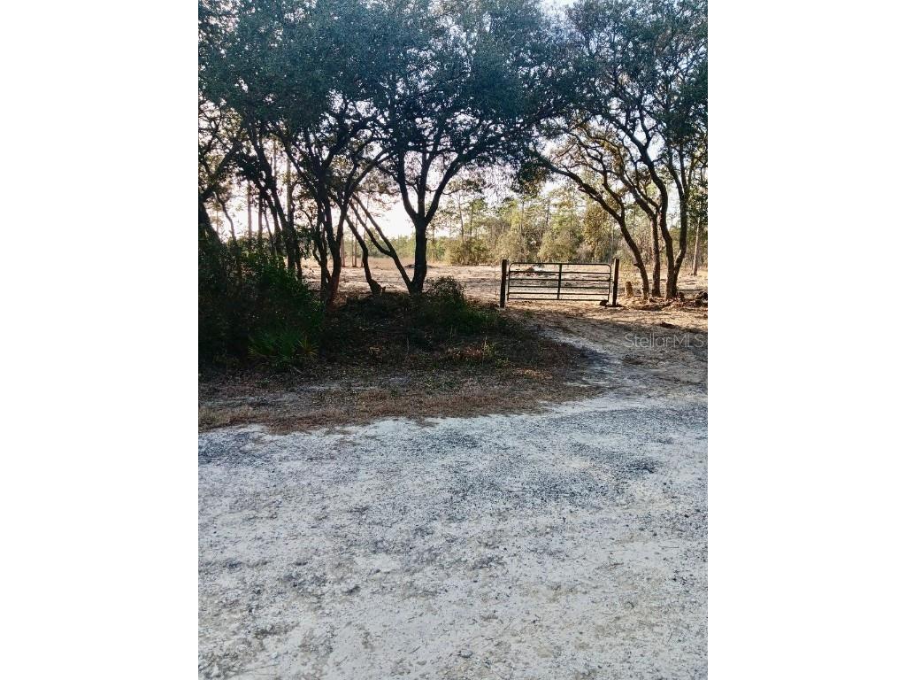 SE 133rd Avenue Dunnellon FL 34431 OM694503 image3
