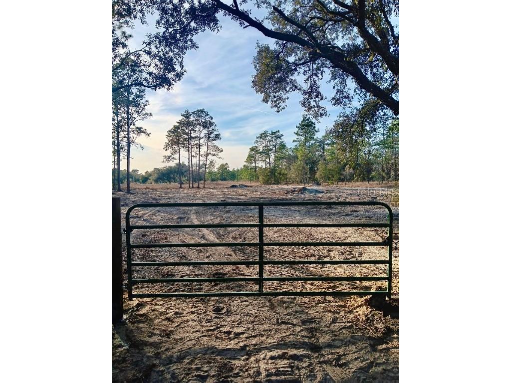 SE 133rd Avenue Dunnellon FL 34431 OM694503 image4
