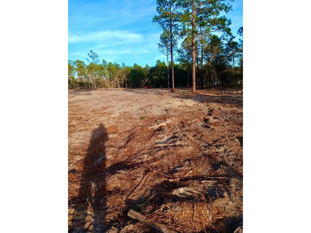 SE 133rd Avenue Dunnellon FL 34431 OM694503 image5