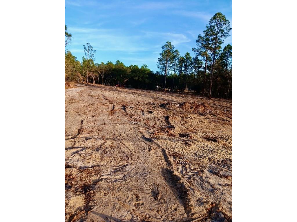 SE 133rd Avenue Dunnellon FL 34431 OM694503 image6