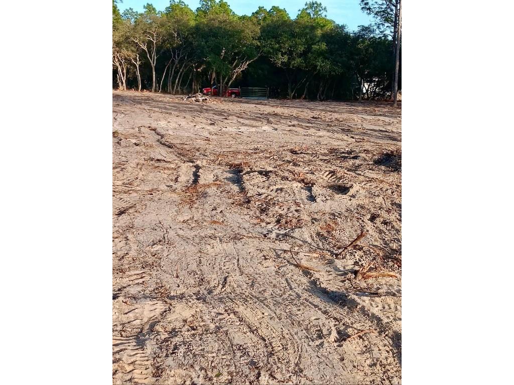 SE 133rd Avenue Dunnellon FL 34431 OM694503 image7