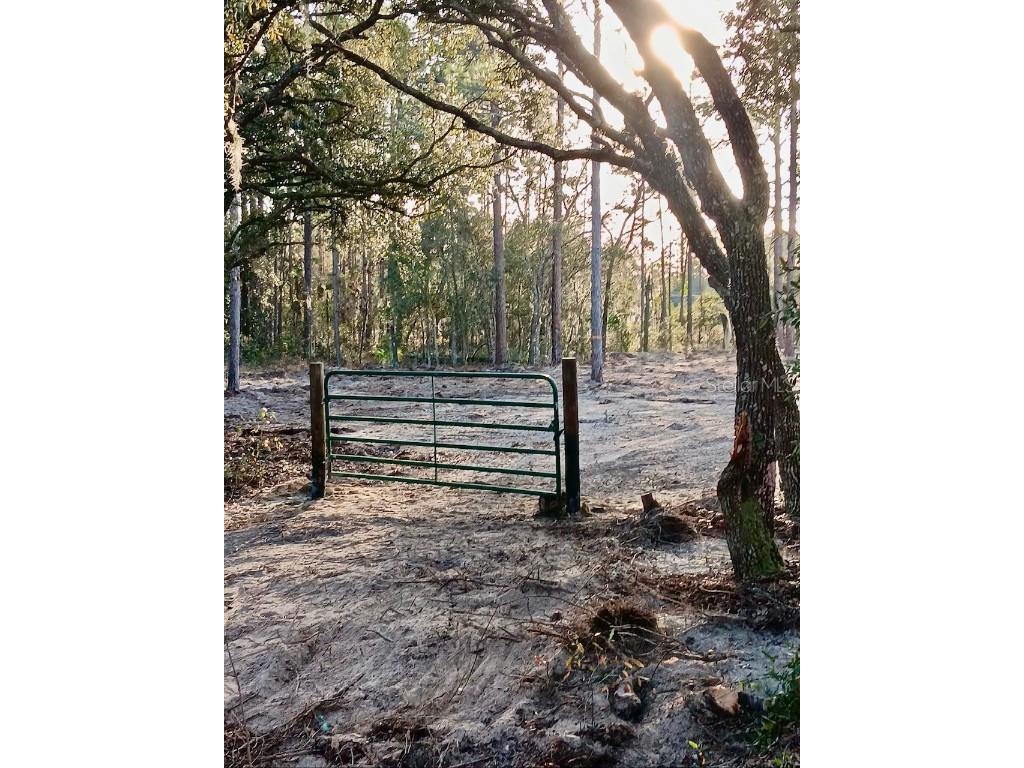 SE 133rd Avenue Dunnellon FL 34431 OM694503 image9
