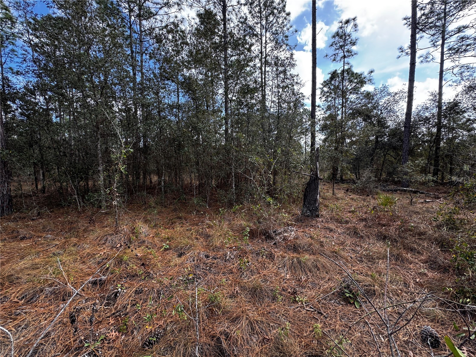 SE 133rd Avenue Dunnellon FL 34431 TB8350744 image1