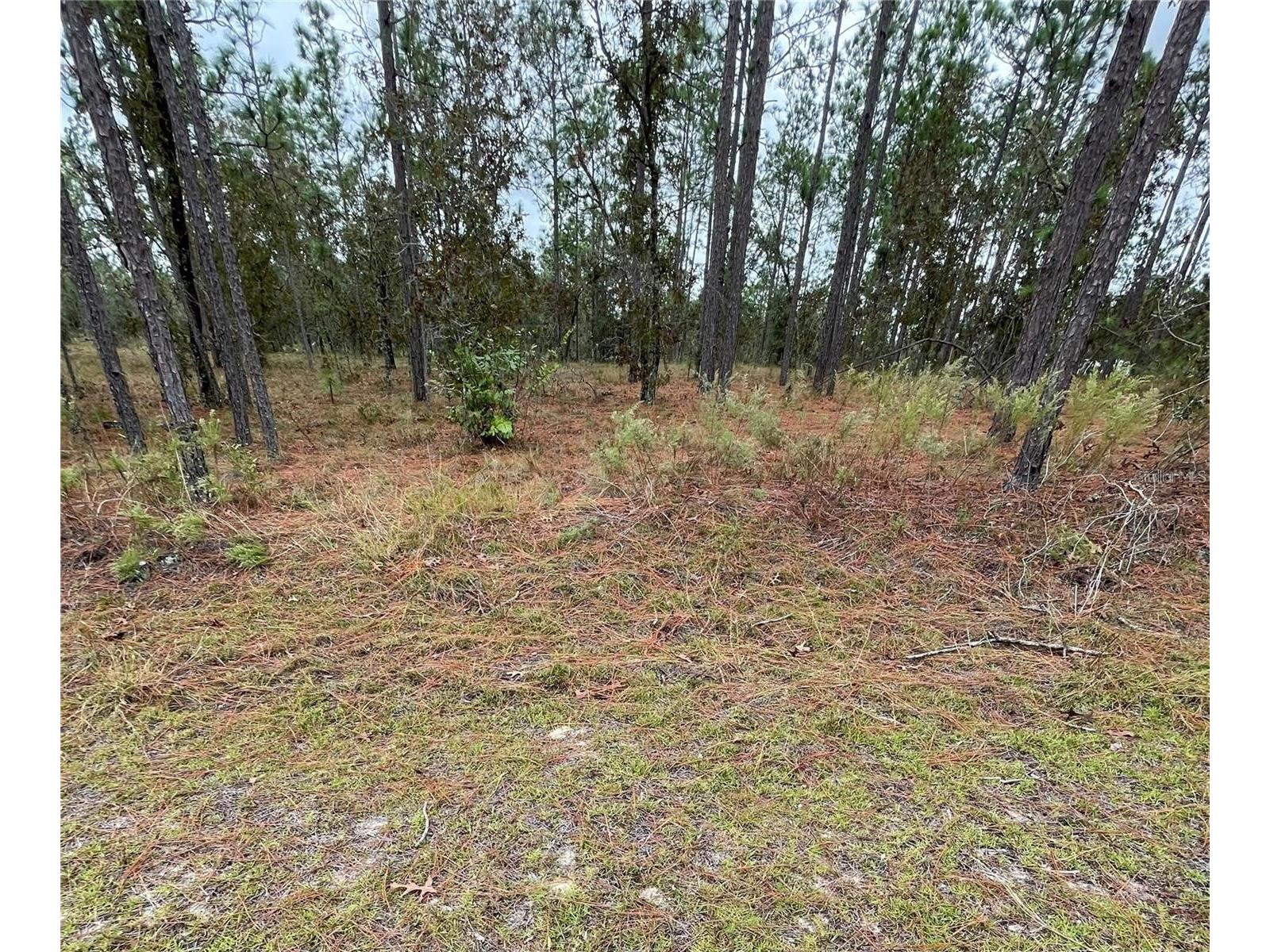 SE 133rd Avenue Dunnellon FL 34431 TB8528630 image1