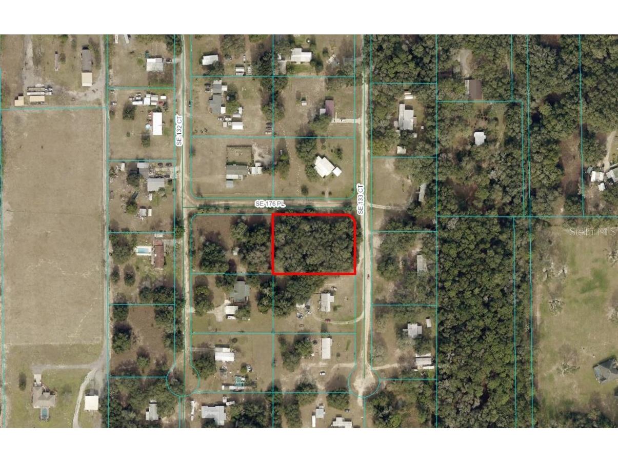 SE 133rd Court Weirsdale FL 32195 OM684129 image1