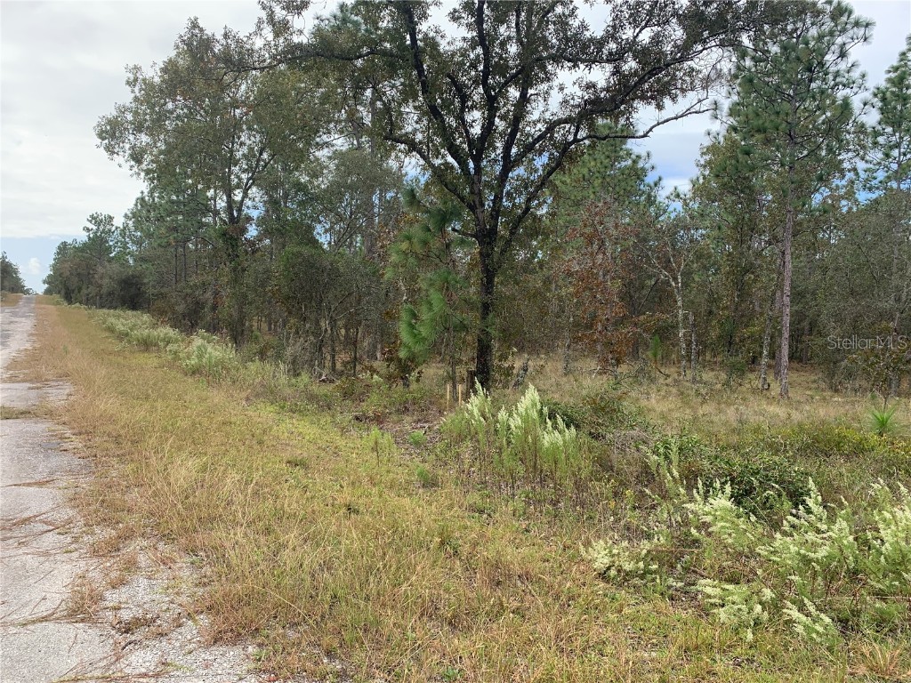 Se 134 Ct Dunnellon FL 34431 O6153028 image1