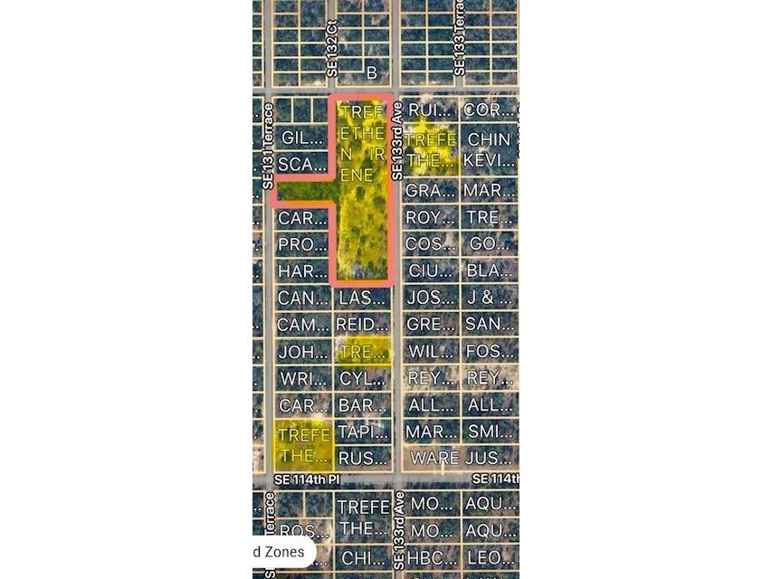 SE 134th Avenue Dunnellon FL 34431 OM727512 image1